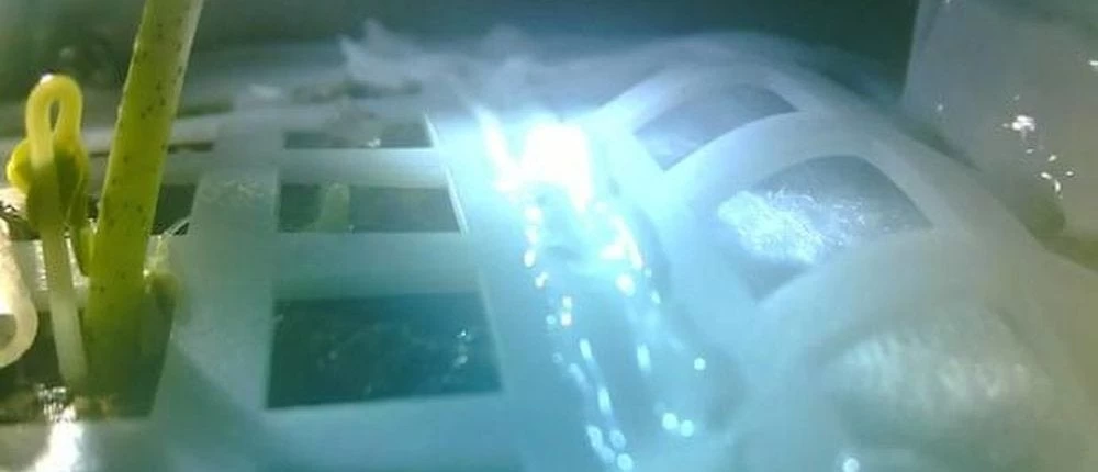 Κοσμοϊστορική στιγμή: Σπόρος βαμβακιού βλάστησε στην Σελήνη – Δείτε το βίντεο